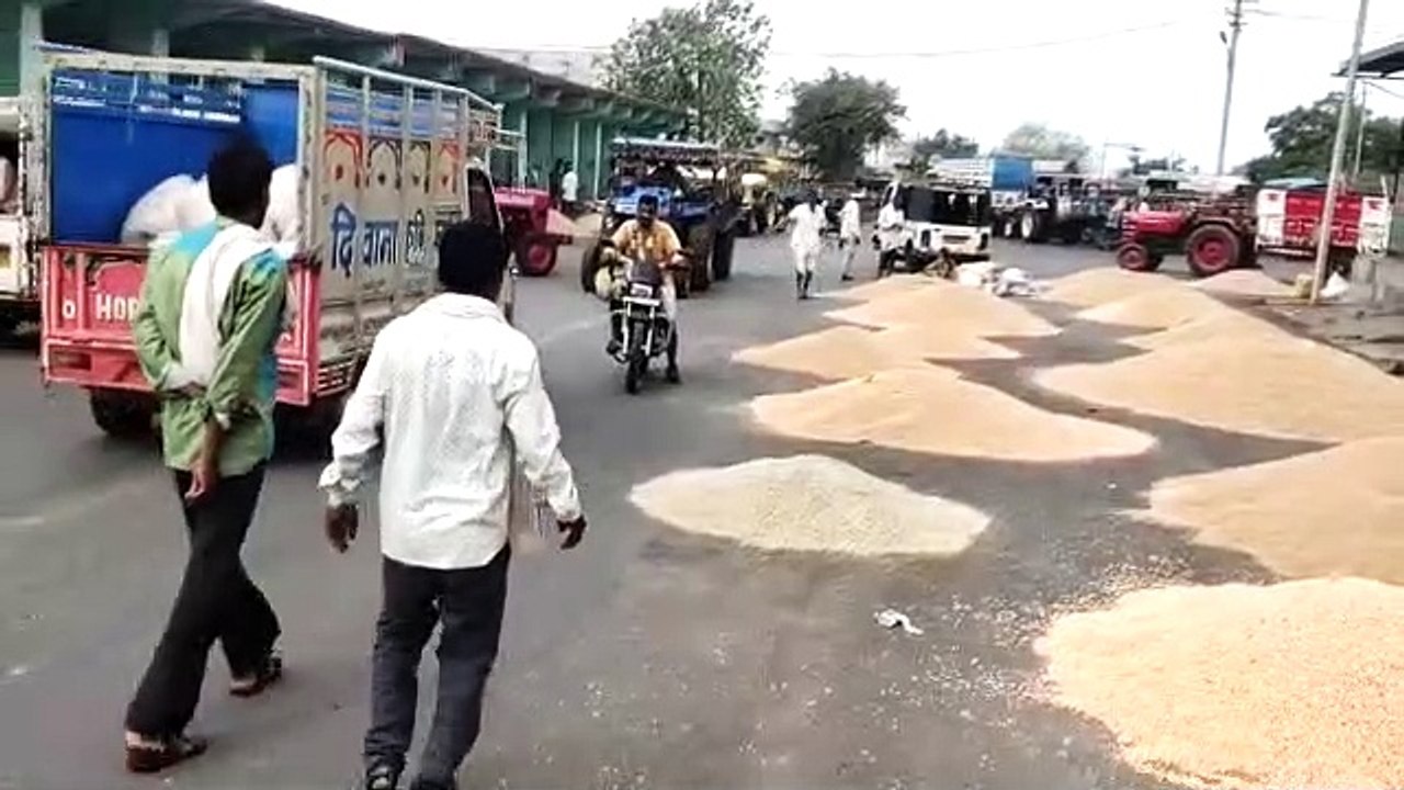 प्रतापगढ़ कृषि उपज मंडी में लहसुन की हो रही है बंपर आवक