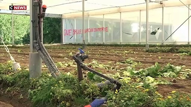 Une plainte déposée suite à la dégradation d'une serre expérimentale dimanche au sud de Nantes pendant une manifestation de militants écologistes venus dénoncer l'exploitation du sable à des fins industrielles - VIDEO