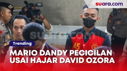 Saksi Sebut Mario Dandy Pecicilan Usai Hajar David Ozora, Hakim: Kayak Petinju Muhammad Ali?
