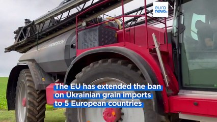EU blocks Ukraine grain imports to five countries including Poland