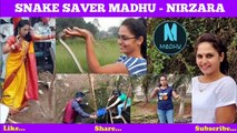 You'll NEVER Guess Where This Snake Was Found! Snake Rescue by Madhu