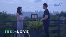 The Seed of Love: The cheating husband gets a second chance (Episode 28)