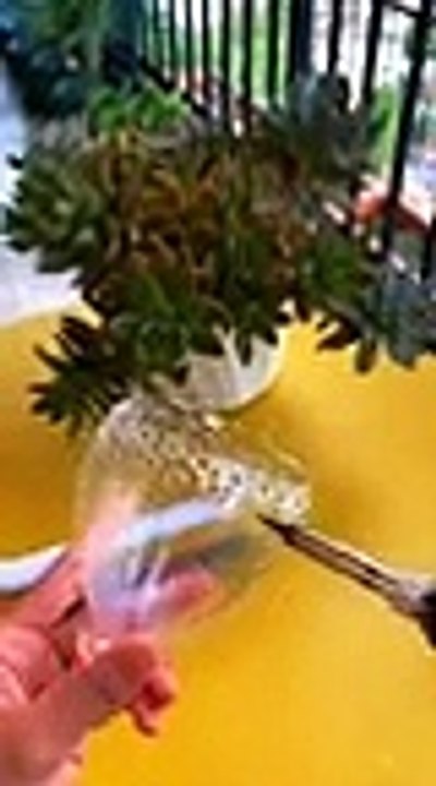 DIY Gardening Ideas For Home - Gardening Ideas, Diy Gardening Ideas, Epic Gardening  #gardening 18