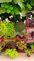 Garden decoration ideas #gardeningideasforhome #gardening