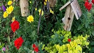 Garden & Outdoor Archives ! 20 example for inspiration - Ash Garden ideas - Diy garden decor ideas