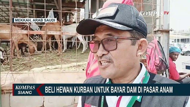 Penampakan Pasar Anam di Mekkah, Tempat Jemaah Haji Beli Hewan Kurban untuk Bayar Dam!