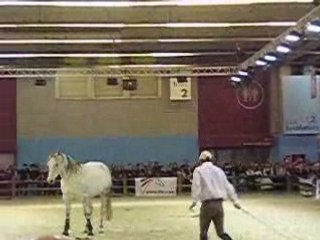 le maitre de l'ethologie Andy booth
