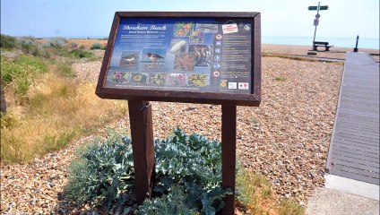 Beautiful Shoreham Beach, West Sussex, in pictures