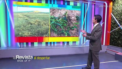Ola de frío y lluvias en Bolivia causan muertes y afectan a la producción
