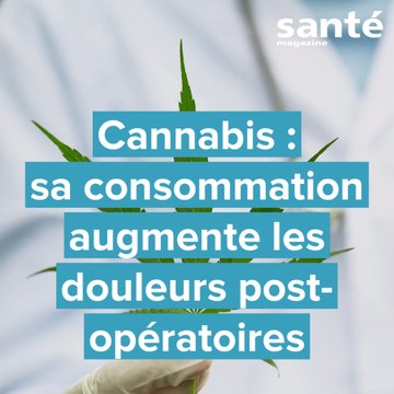 Cannabis : sa consommation augmente les douleurs post-opératoires
