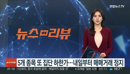 5개 종목 또 집단 하한가…내일부터 매매거래 정지