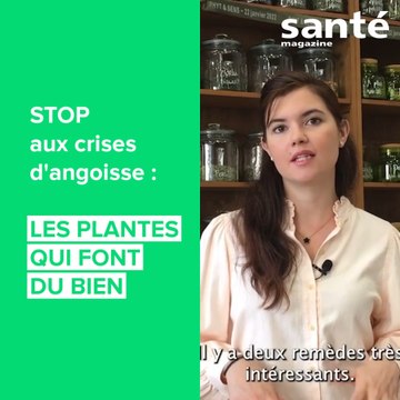 Stop aux bouffées d'angoisse : les plantes qui font du bien