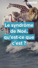 Le syndrome de Noé, qu’est-ce que c’est ?