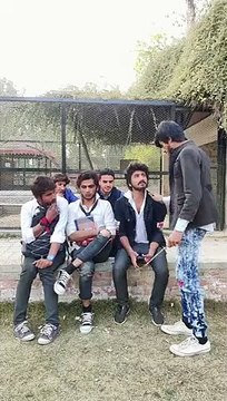 Billu dgk tik tok - Billu dgk funny videos of tiktok - #shorts