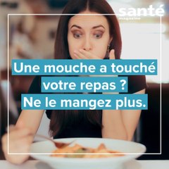 Une mouche a touché votre repas ? Ne le mangez plus.