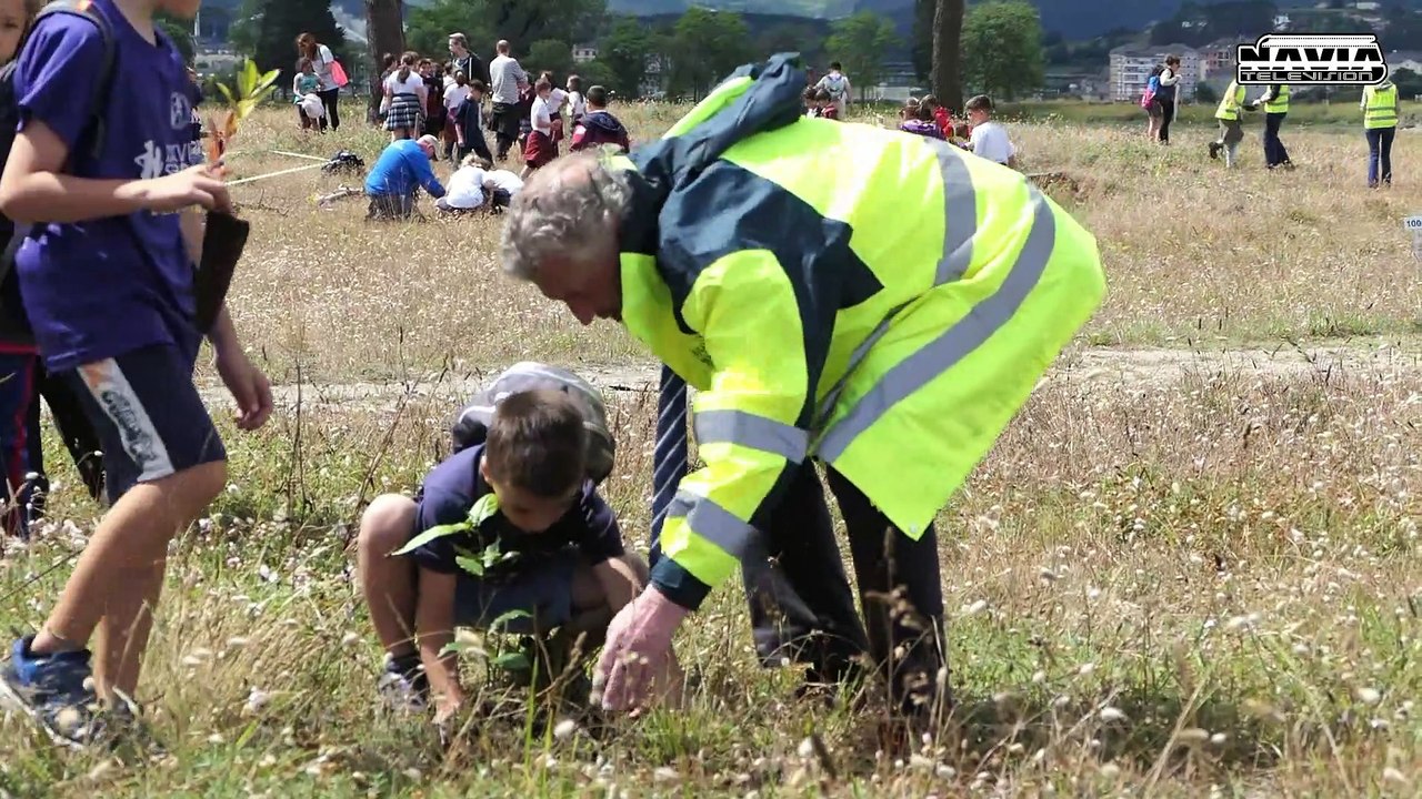 REFORESTACIÓN EN LAS INMEDIACIONES DE LA PLAYA DE NAVIA 2023