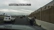 State trooper saves kitten roaming on busy Las Vegas highway