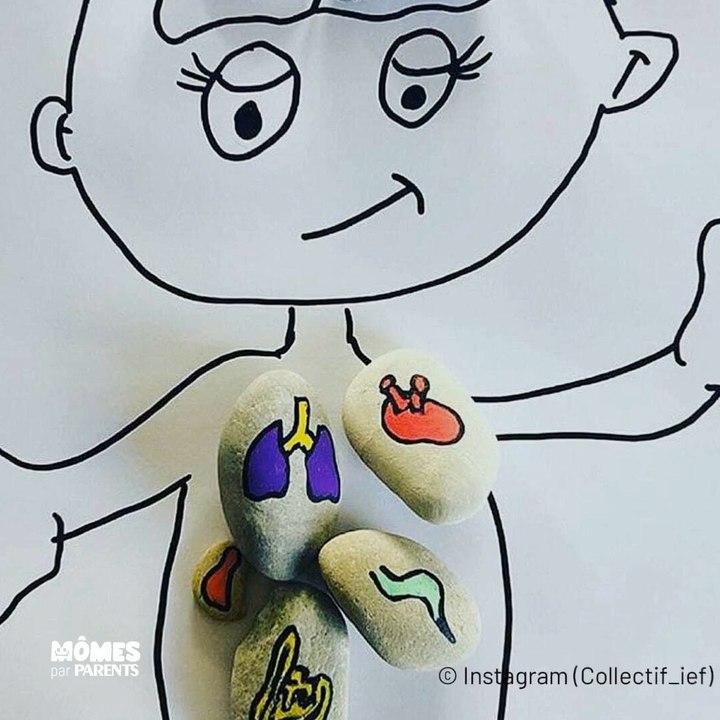 10 activités ludiques pour apprendre le corps humain facilement