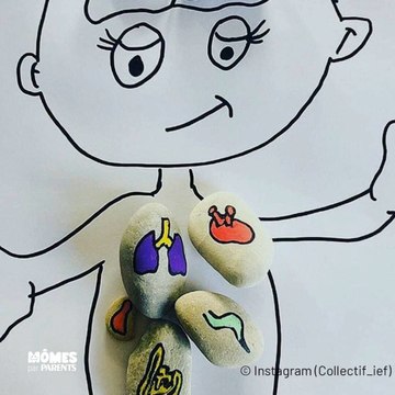 10 activités ludiques pour apprendre le corps humain facilement