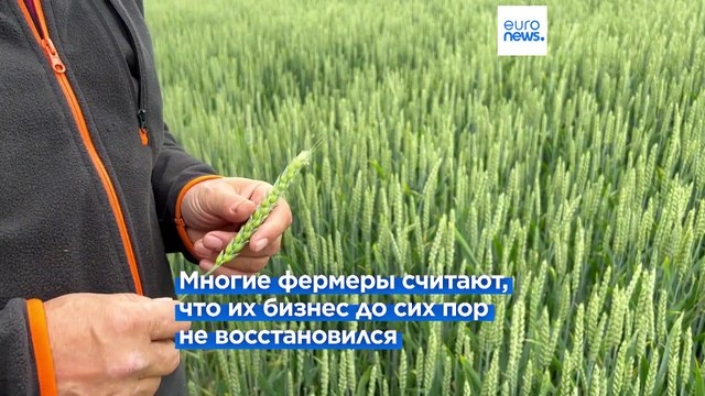 Не конкурировать с Украиной, а экспортировать вместе : польские фермеры недовольны мерами ЕС