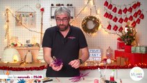 Replay - Mômes Part en Live - DIY décorations pour sapin de Noël