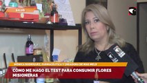 Terapia natural: Cómo me hago el test para consumir flores misioneras y sanar emociones