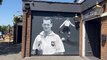 Sir Tom Finney pub murals