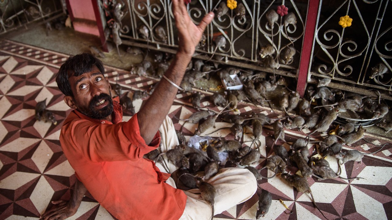Ledwo uszedł z życiem, ale już planuje następną podróż czyli ze Skwarą przez świat!