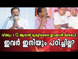 ലോക്‌സഭാ തിരഞ്ഞെടുപ്പിനായി കരുക്കൾ നീക്കി ബിജെപി title