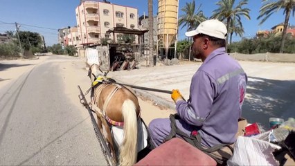 A Sanitary Situation Activists Are Solving With Diapers