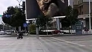 Never Before Seen 3D Billboard in China