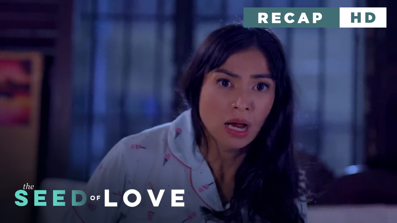 The Seed of Love: The coldhearted wife's realization (Weekly Recap HD)