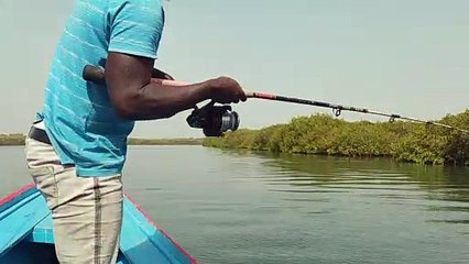 La pêche de Sophia