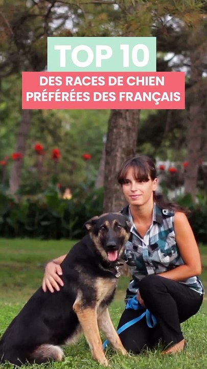  Voici le TOP 10 des races de chiens les plus populaires en France en 2022.