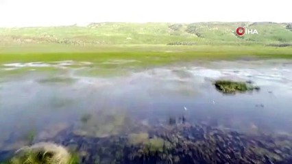 Une débauche de couleurs dans la merveille naturelle du plateau de Süey