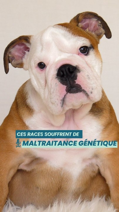 Connaissez-vous l'hypertype ?
