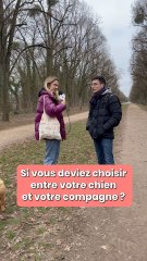 Si vous deviez choisir entre votre chien et votre compagnon ?