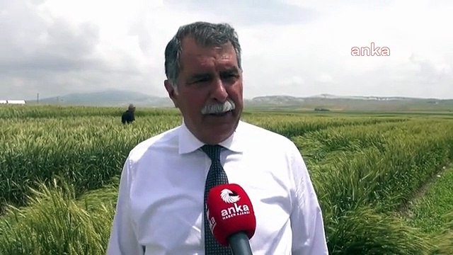 Ankara'da Milli Tohum Tanıtımı ve Tarla Günleri düzenlendi
