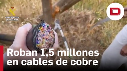 Quince detenidos por robar treinta kilómetros de cable de cobre, valorados en 1,5 millones de euros