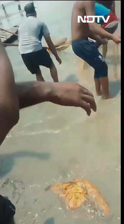 Timsah saldırısına uğrayan 10 yaşındaki çocuk hayatını kaybetti! Öfkeli halk vahşi hayvanı sopalarla vurarak öldürdü