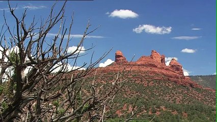 To Tulsa and Back - On Tour with J.J. Cale (Official Trailer English)