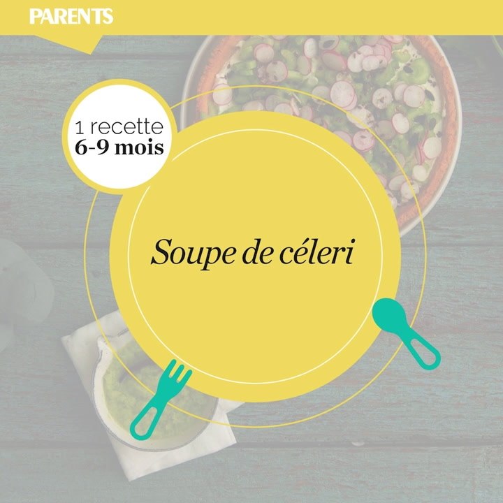 Céleri 6-9 mois