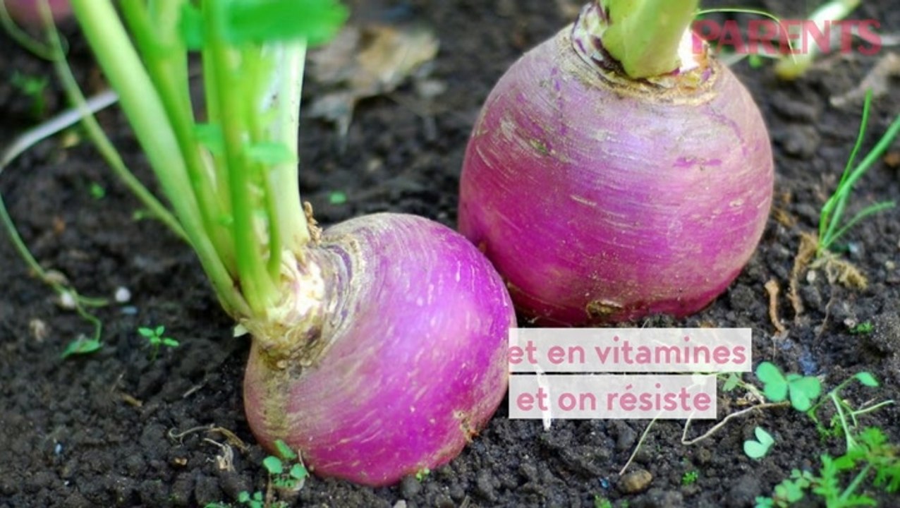 On mange de saison... le navet !