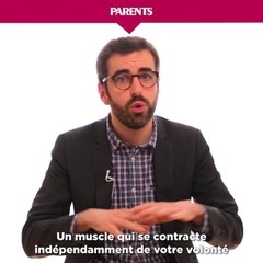 Par 2 Les-contractions-de-travail