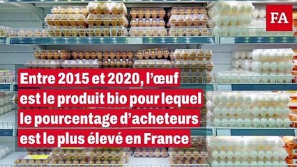 Le marché des oeufs bio en juin 2023