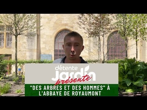 Abbaye de Royaumont : l'exposition Des arbres et des hommes au jardin des 9 carrés.