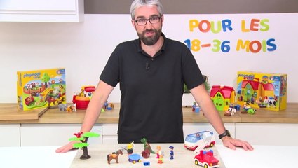 Par Playmobil123 Classer Les Jouets Dans Leur Categorie