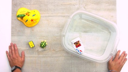 Par Playmobil123 Faire Flotter Et Couler Des Objets