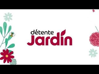 Une décoration de porte pour un Noël végétal