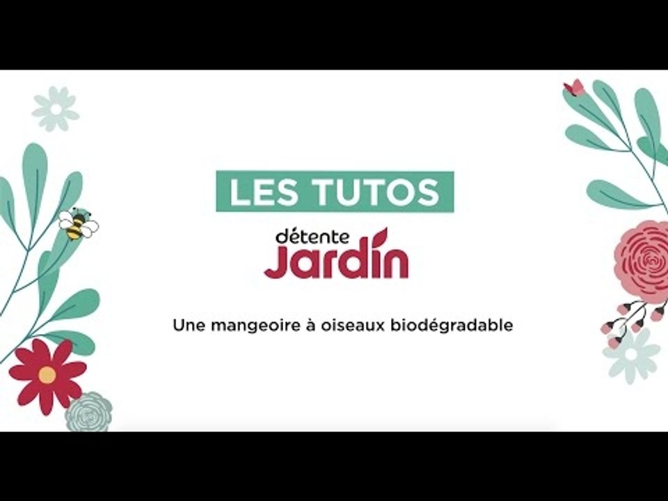 Créer une mangeoire à oiseaux biodégradable